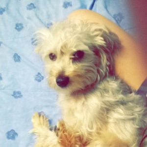 Meet your Posher, Carl